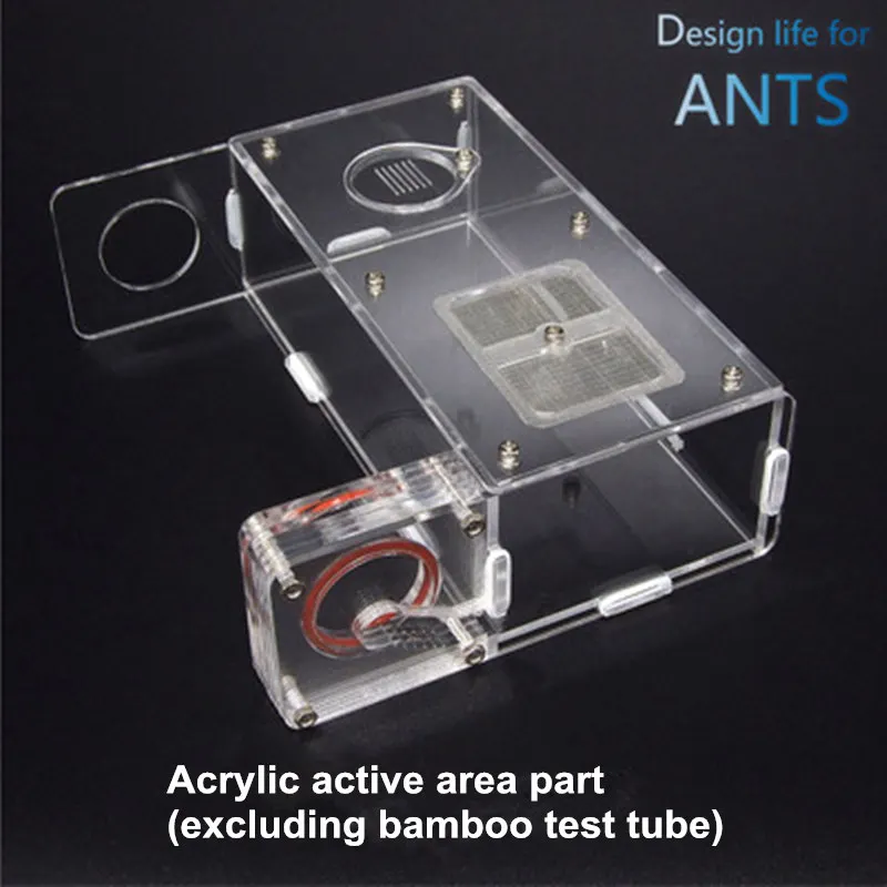 Pet ants профессиональное гнездо бамбуковое с активной областью Версия 30 мм ant