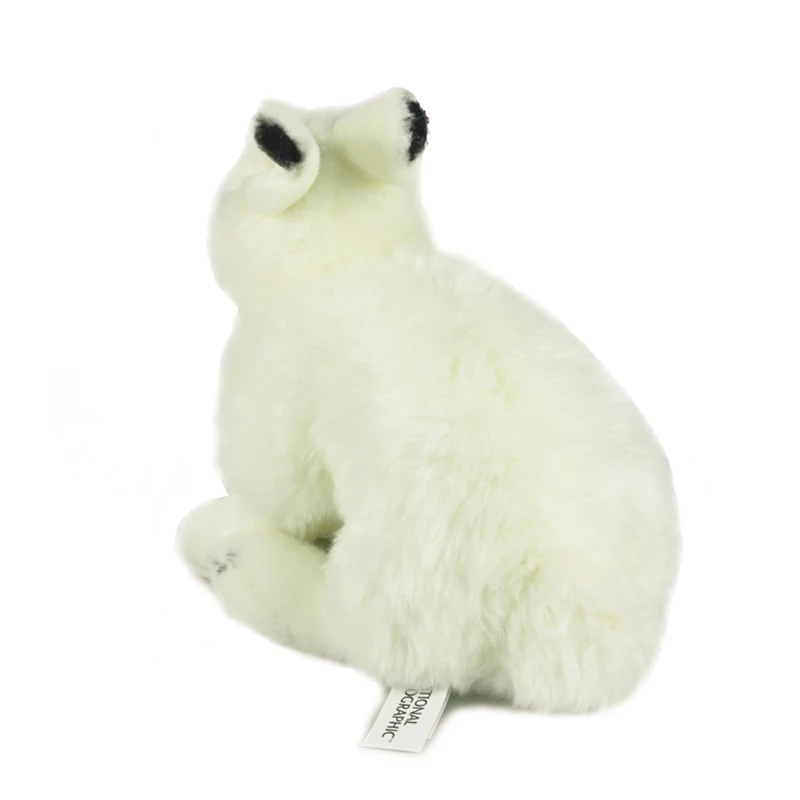 Милый 23 см Полярный заяц Lepus arcticus кролик моделирование реалистичные мягкие плюшевые игрушки