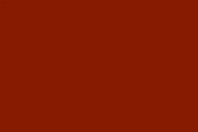 500 м linha monofilamento fluorcarbono carpe леска супер сильная linha monofilo pesca ipek misina lenza fluorocarbon - Цвет: coffee