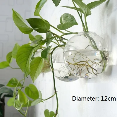 2. DIAMETER 12CM Креативные настенные стеклянные цветочные горшки, декоративная ваза, подвесные корзины, садовые плантаторы, украшения для ресторана, домашний декор - Цвет: 2. DIAMETER 12CM