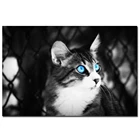 Милые животные слон кошка тигр птица Мопс плакаты с изображениями собак черно-белые настенные художественные картинки Украшение для гостиной дом куадро