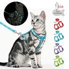 Набор из нейлоновой шлейки и поводка для кошек, с индивидуальной идентификационной биркой, шлейка для котят, с именной биркой, с гравировкой сине-красного цвета