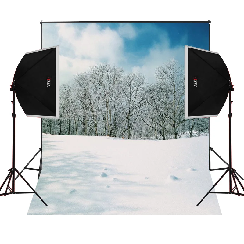 Зимние Облако Дерево живописные для детей фото камеры fotografica Studio винил