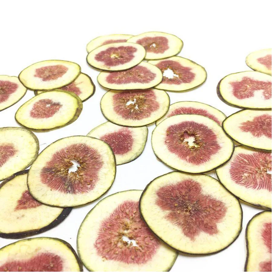 5 шт прессованный высушенный фикус Carica Linn. Ломтики фруктов гербарий из растений