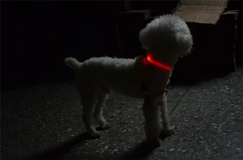 Ошейник для маленьких домашних питомцев 1 5 см с зарядкой от USB|dog cat collar|led collarcollar usb