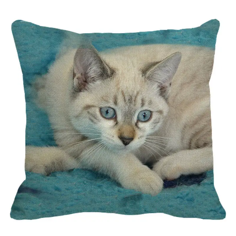 XUNYU чехол для подушки милый домашний животный красивый Британский короткий
