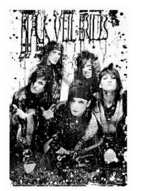 Black Veil Brides - B/W Band Music Poster Print Size 50x75cm | Дом и сад