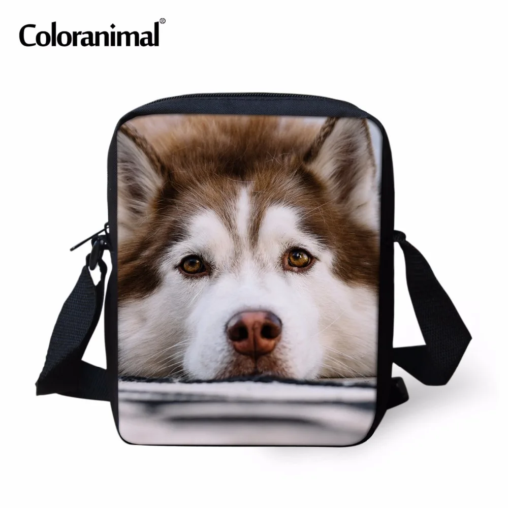 Coloranimal забавные 3D Хаски печатных Женская маленькая сумка через плечо для девочек