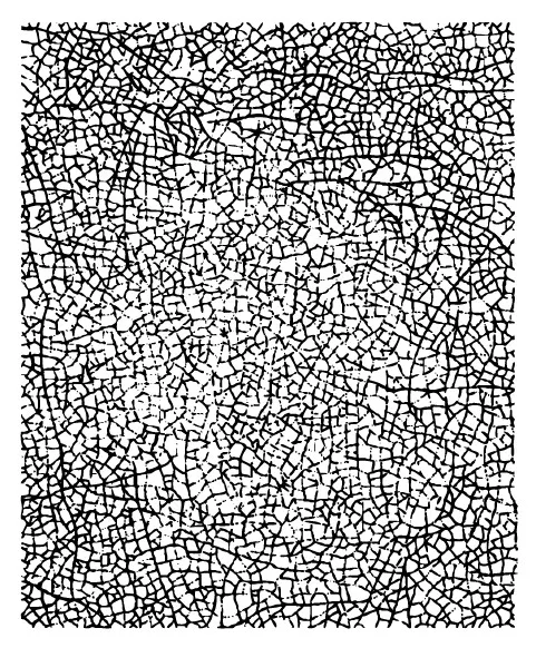 Прозрачный фон для скрапбукинга своими руками/оформление карт/рождественские