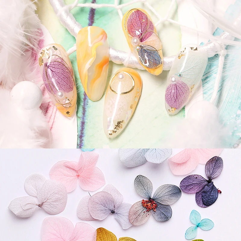 1 мешок сушеные цветы 3D сухой цветок гортензии для дизайна ногтей Украшение