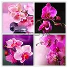 Алмазная живопись ZOOYA, Орхидея и каменные каллы, алмазная вышивка, цветочный узор, Декор, вышивка, наборы для мозаики RF1616