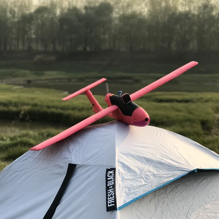 SKYWALKER MINI PLUS 1100 мм размах крыльев фиксированное крыло для начинающих FPV