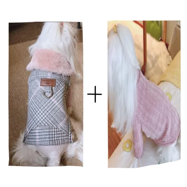 Coat plus velvet Роскошная зимняя собачья шерстяная одежда с меховым воротником щенок йоркширского терьера куртка для собаки пальто Одежда для маленького среднего домашнее животное чихуахуа - Цвет: Coat plus velvet