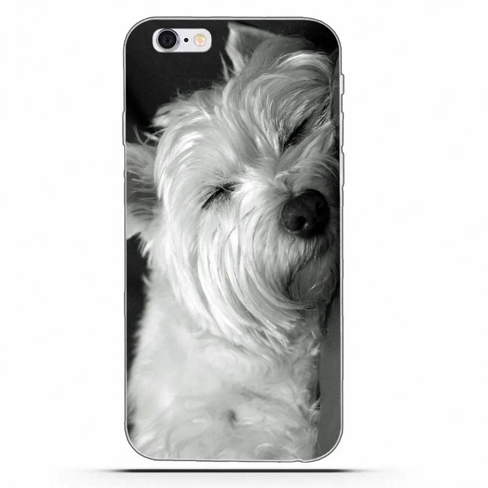 Мягкие ТПУ чехлы для телефонов Wexoeq West Highland Terrier Dog щенок LG G2 G3 mini spirit G4 G5 G6 K4 K7 K8 K10 2017