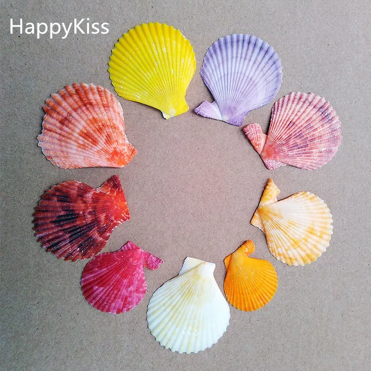 

HappyKiss 30pcs /lot Natural seashells crafts shells To stick The wedding party colors conch