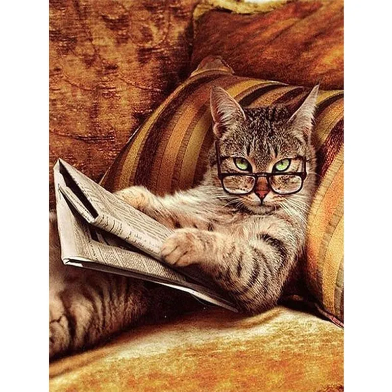 Новинка рукоделие очки кошка лежа на диване книга для чтения алмазная картина