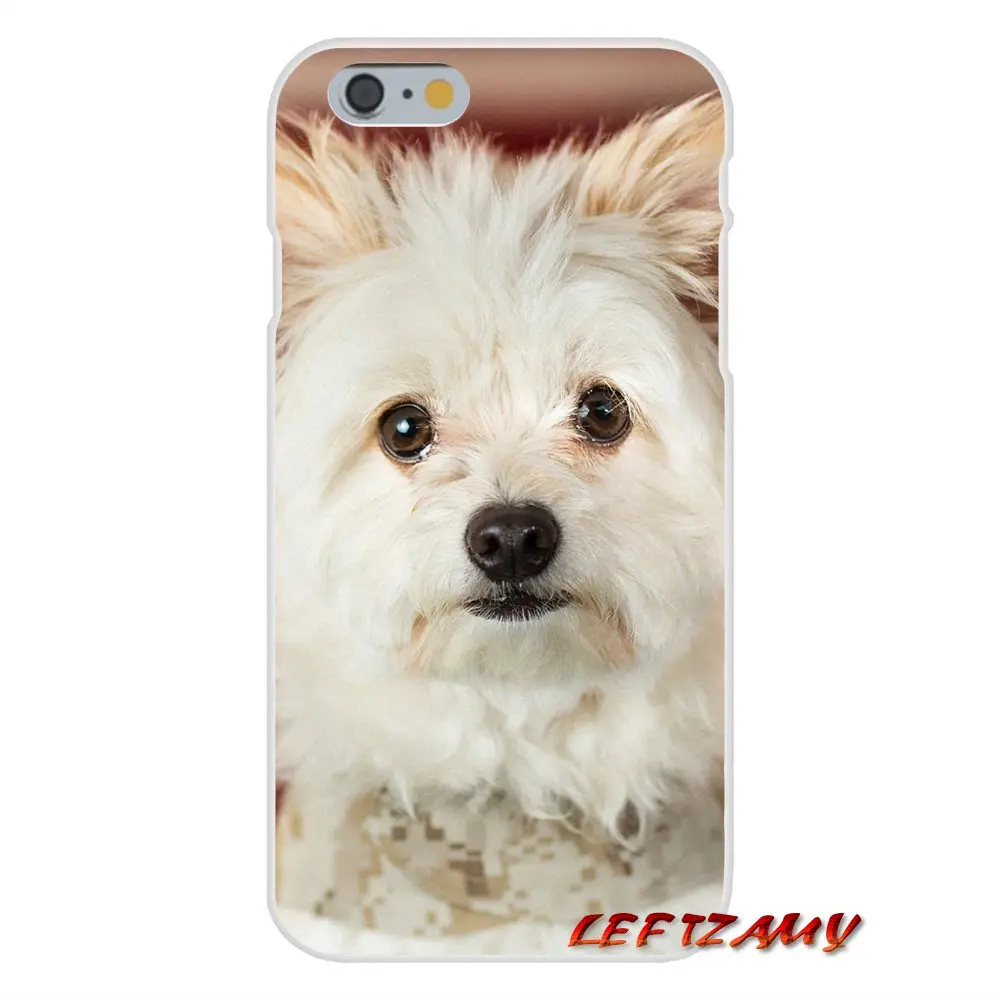 Чехол для телефона с изображением милых белых щенков мальтийской породы на Samsung Galaxy S3 S4 S5 MINI S6 S7 edge S8 S9 Plus Note 2 3 4 5 8.