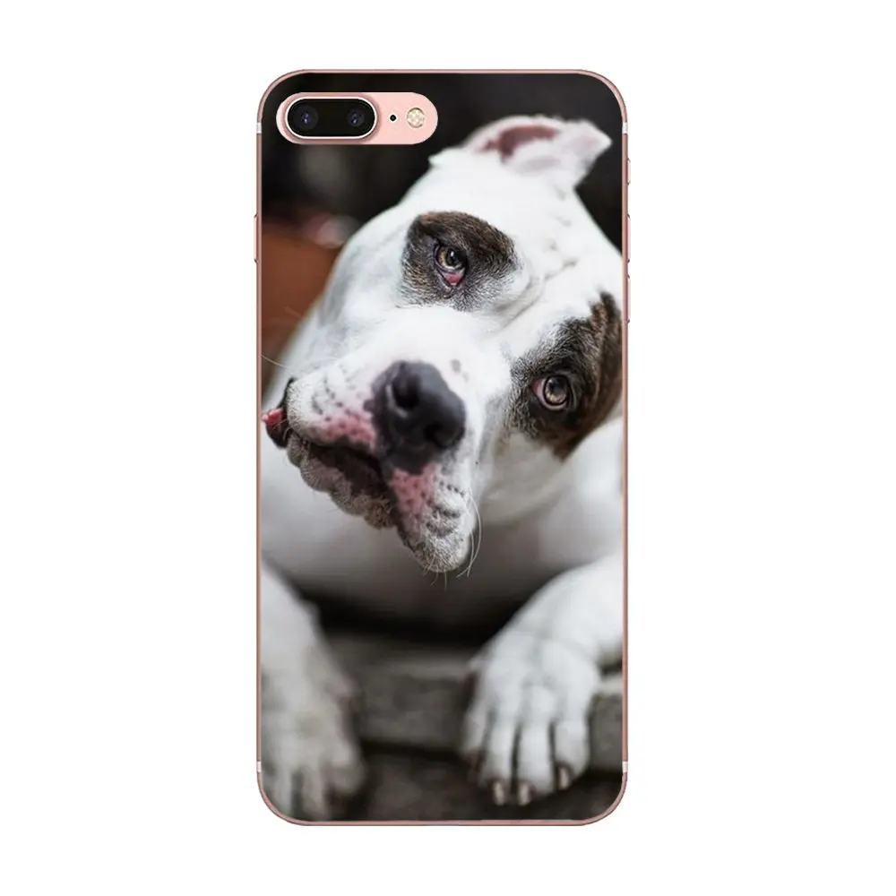 Милая и милая собачка Pitbull Soft для LG Nexus 5 5X V10 V20 V30 V40 2017 2018 2019 | Мобильные телефоны