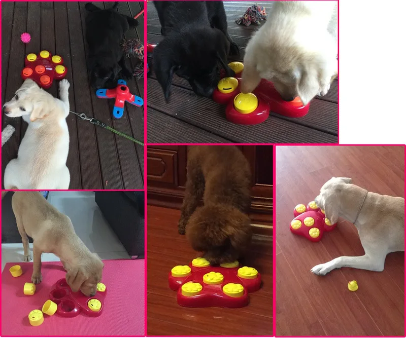 

Free Shipping Cat Dog Pet Bowls New Pet Supplies For Pet Educational Toys Hide And Seek Smell To Find Food Box Training Senses