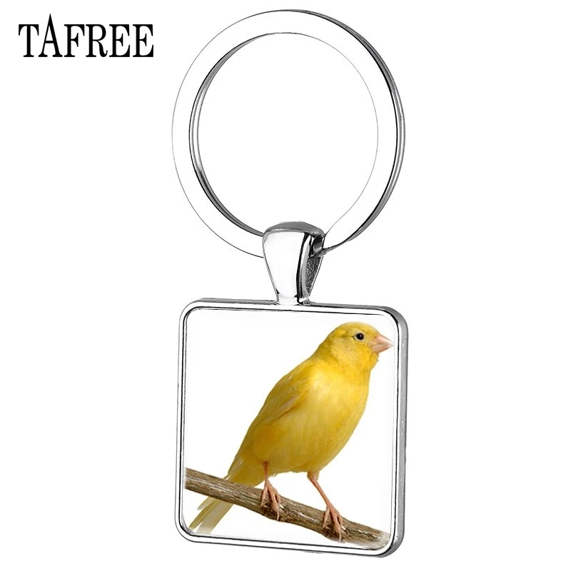 TAFREE Новое поступление милые желтые Канарские птицы квадратная Подвеска Брелки уникальная картина бижутерия со стеклянными кабошонами для мужчин подарок CA35 - Цвет: CA29