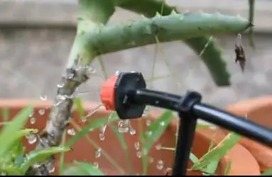 Дешевые смарт времени семья балкон сад спринклерный воды сохранения