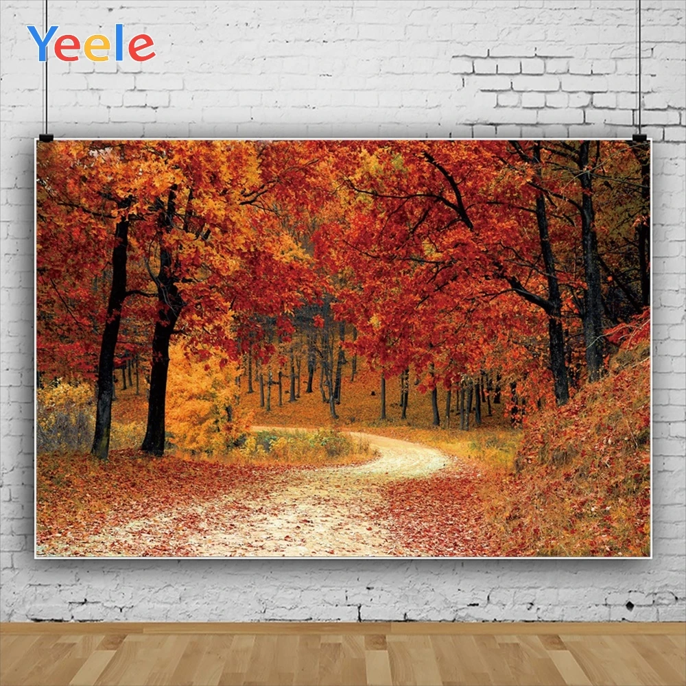 Фон для фотосъемки Yeele с изображением осеннего пейзажа кленового дерева и