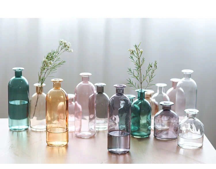 INS Small Mouth Glass Transparent Vase Nordic Wind Dried Flower Vases Japanese Home Wedding Decoration Colorful Flower Vases