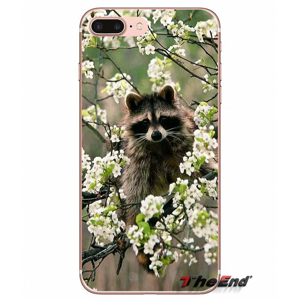 Силиконовые чехлы Kawaii Детские еноты для Huawei Honor 7X V10 6C V9 6A Play 9 Mate 10 Pro Y7 Y5 P8 P10 Lite Plus GR5