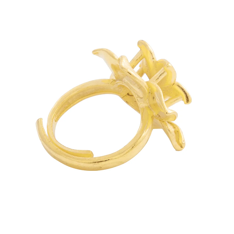 Кольцо Ethlyn регулируемое матовое золотое для женщин свадьбы ювелирных изделий в