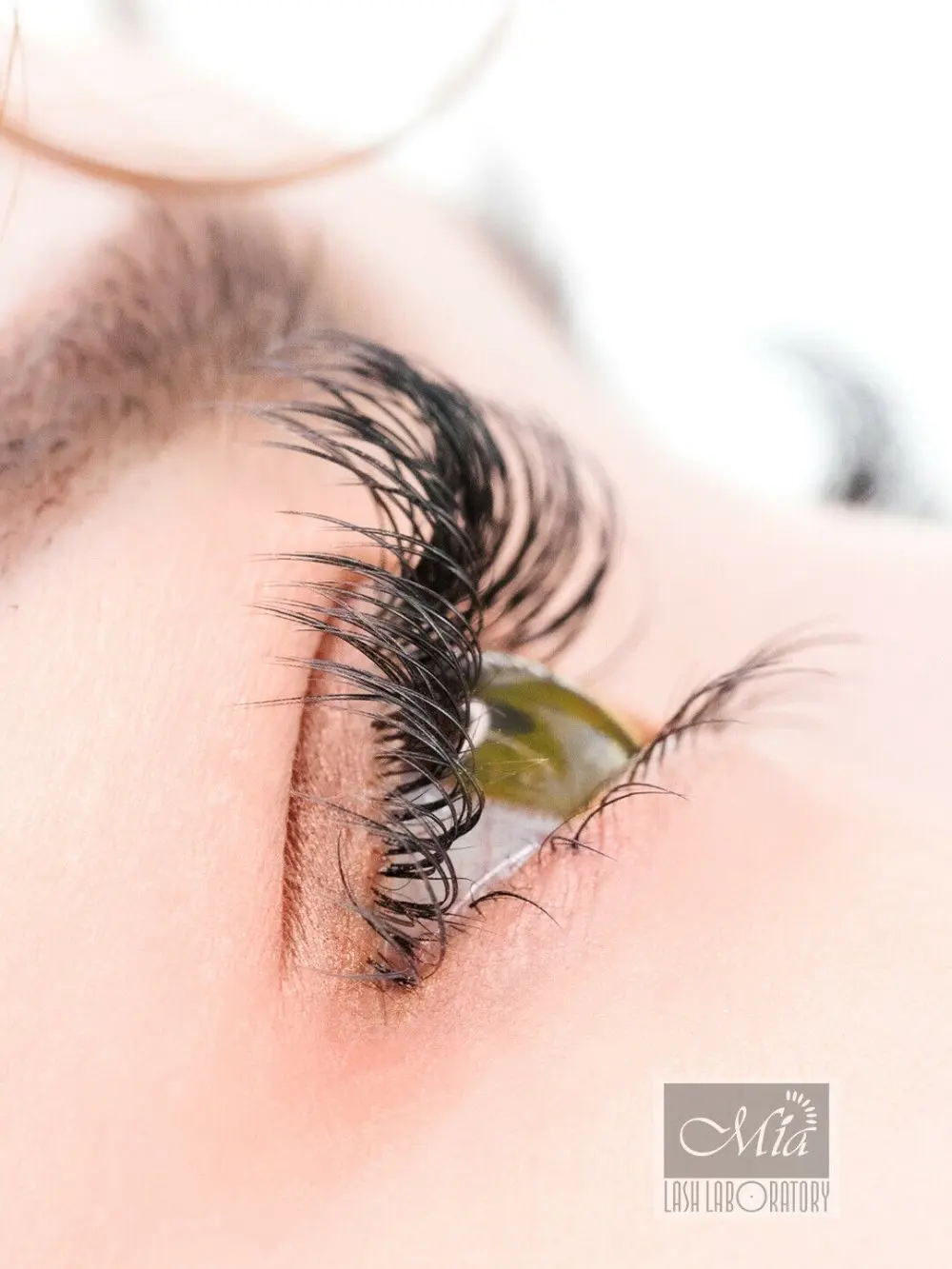 [9D 0 05 C/D 8 15 мм] LENA 9D Россия объем ресниц супер мягкий отдельных ресниц|volume lashes