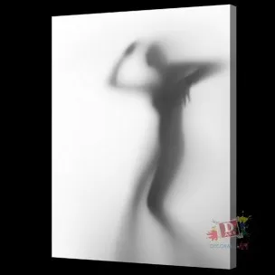 Печать стены книги по искусству Moderm домашний декор сексуальная женщина тень