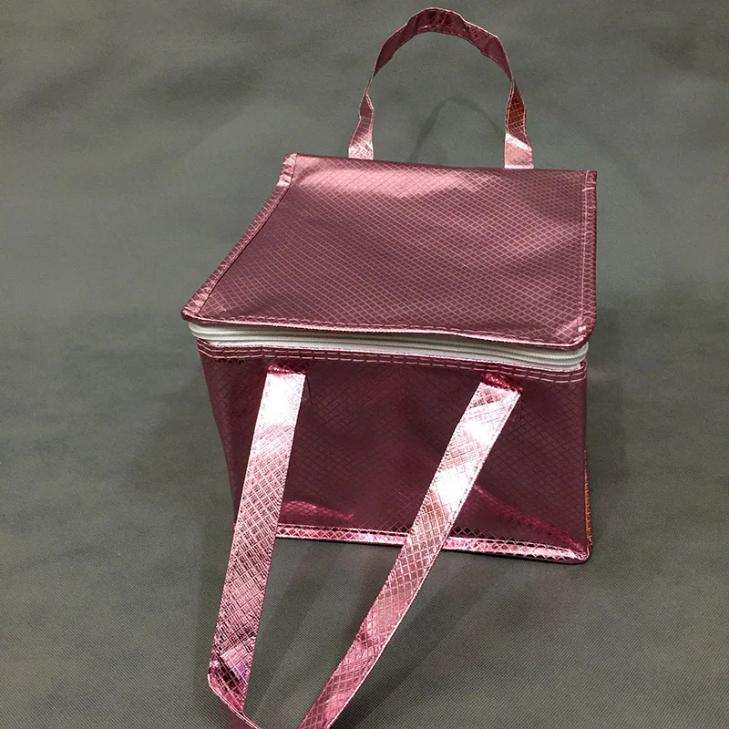 Изолированные сумки-кулеры для пикника коробка пиццы Ланч-бокс изолированные