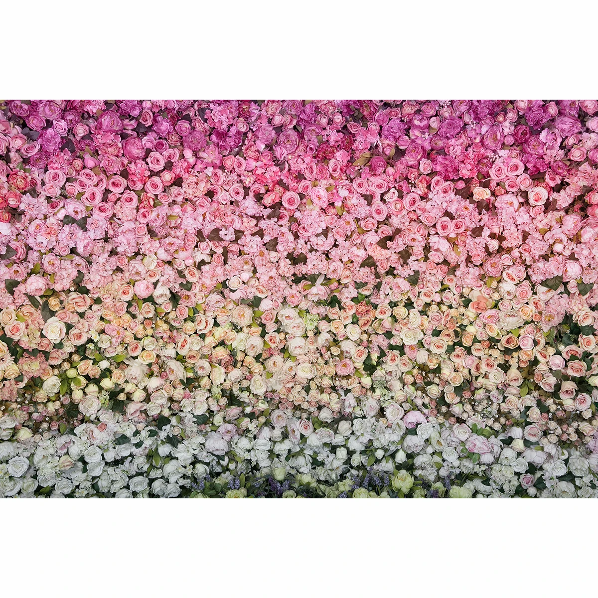 Allenjoy backgrounds for photography studio beautiful flower wall wedding party 14 Valentine's Day backdrop new design photocall |