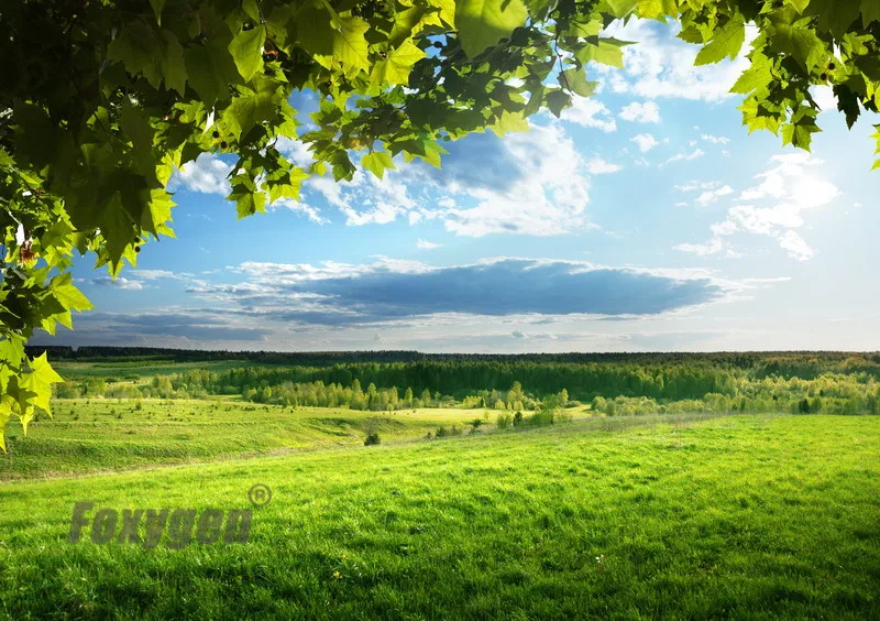 Популярная Стретч потолочная пленка голубое небо потолочный дизайн низкая цена