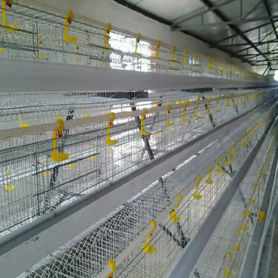 Пластик Сталь животных крупного рогатого скота овец свинья лошадь Кормление рыб