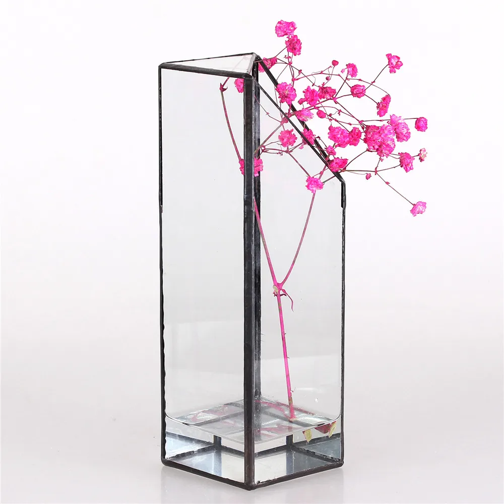 Аквариумные водные растения длинная четырехугольная призма геометрическая