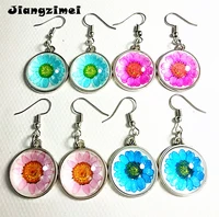 24pairslot mixed 12 styles pinkred blue purple rose photos glass colorful earrings ear pendants eardrop fashion jewelry