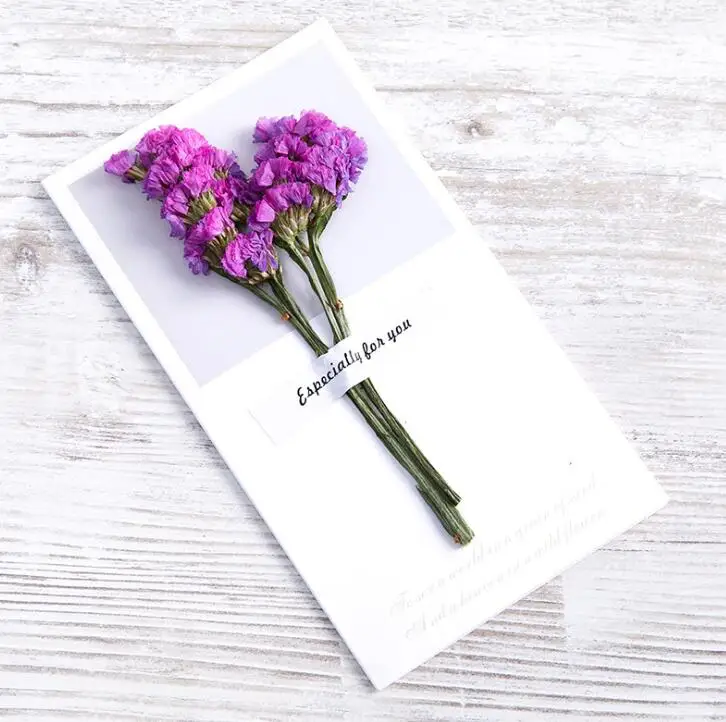 7 10 шт. креативные Gypsophila сухие цветы поздравительная открытка ручной работы поздравительная открытка на день рождения, День Благодарения подарок на день матери - Цвет: 7