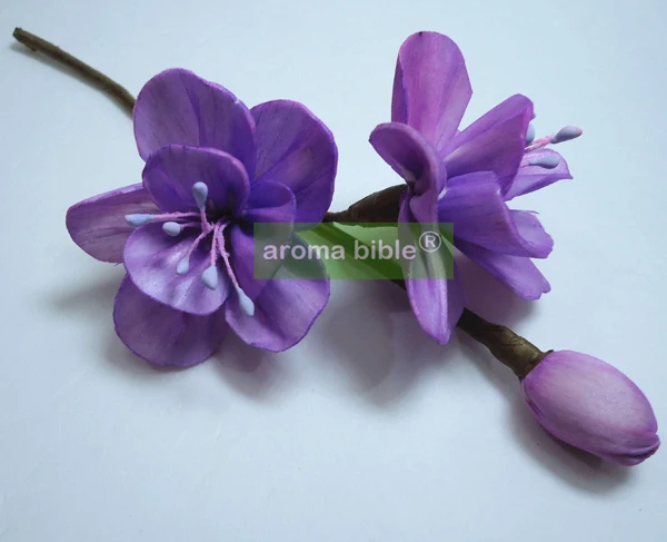 

1000 pcs /lot Handmade sola wood flowers for fragrance diffuser and home decor with 12cm Rope or rattan reed sticks Top quality