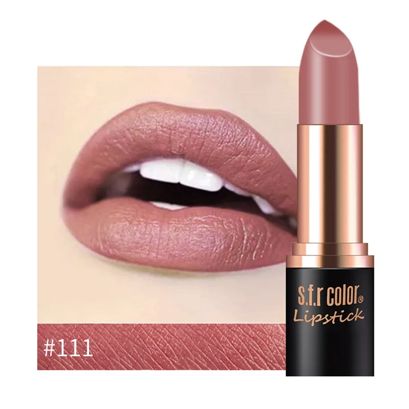 New Matte Lipstick 12color Easy To Wear Waterproof Long-lasting Matte Lip Gloss Lipstick Lady Sexy Lipstick Lip Balm TSLM2