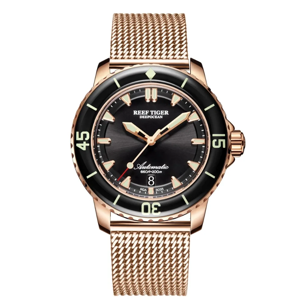 Reef Tiger Aurora Serier RGA3035 мужские 200 м водостойкие с супер светящимися автоматический механический календарь наручные часы-сталь