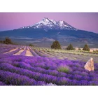 5D DIY Алмазная вышивка лавандовое поле полная квадратная Алмазная Живопись Вышивка крестом декоративная мозаика из стразов на подарок