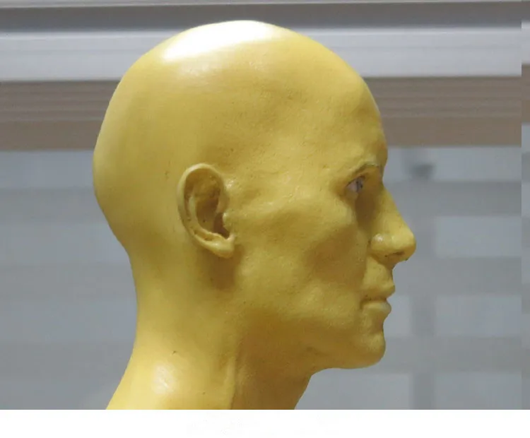 Каркас человеческого черепа из ПУ кожи анатомическая модель для зубных протезов