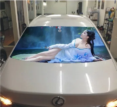 style2 DIY перфорированные ПВХ автомобиля Стайлинг окна автомобиля после теракта наклейки автомобиль дальнего света Wacky стекло перспектива дьявол - Название цвета: style2