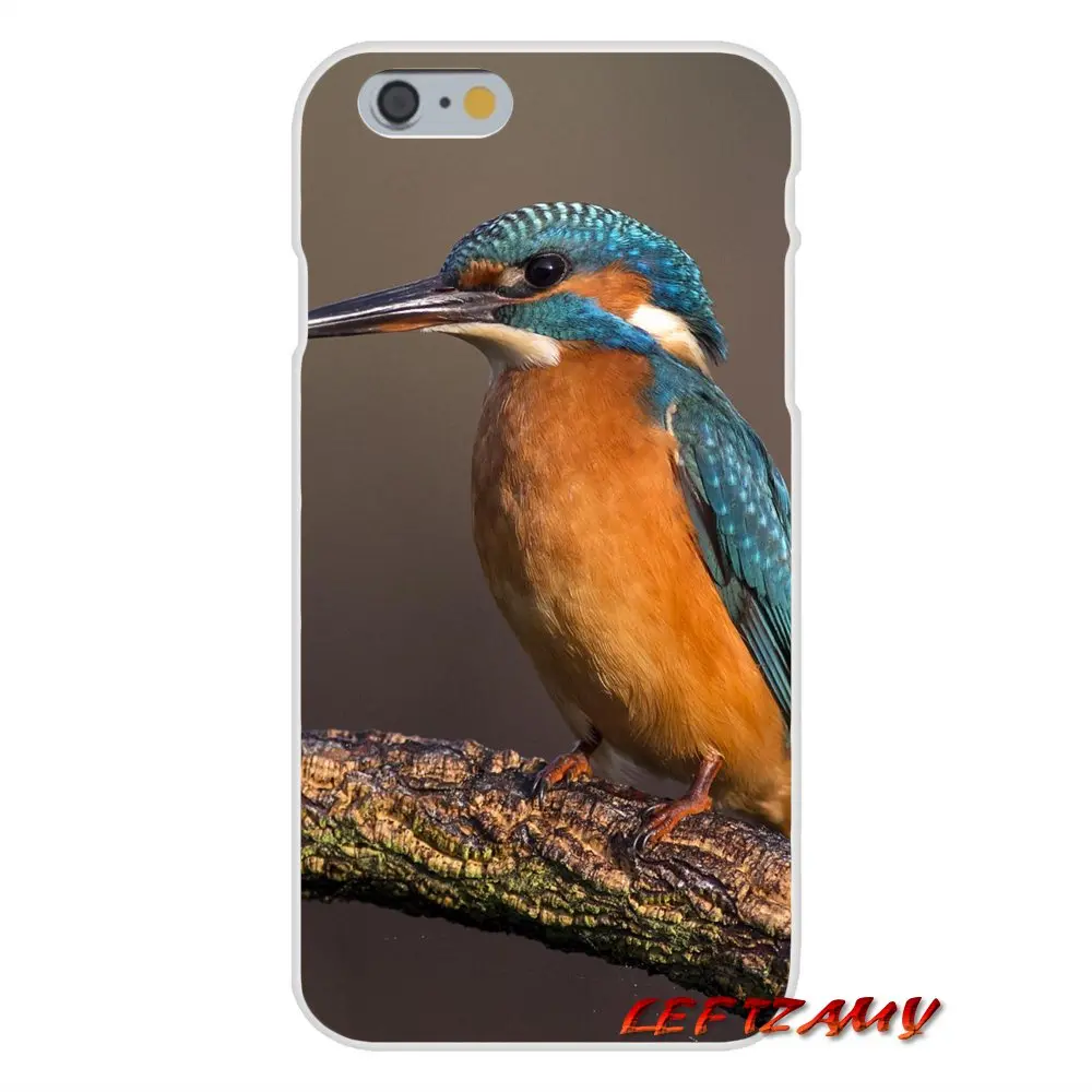 Прекрасный зимородок птица тонкий силиконовый чехол для телефона Motorola Moto G LG Spirit