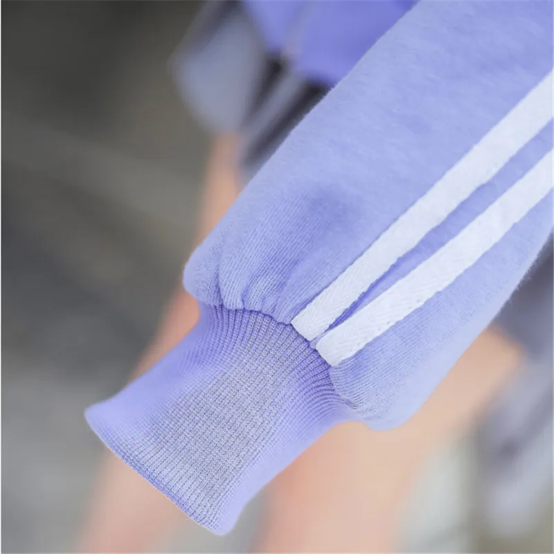 2019 Spring and Autumn New Women Sweatshirts Side Stripe Purple Hooded Female Loose Student bf Casual Zipper Jacket SY019 |