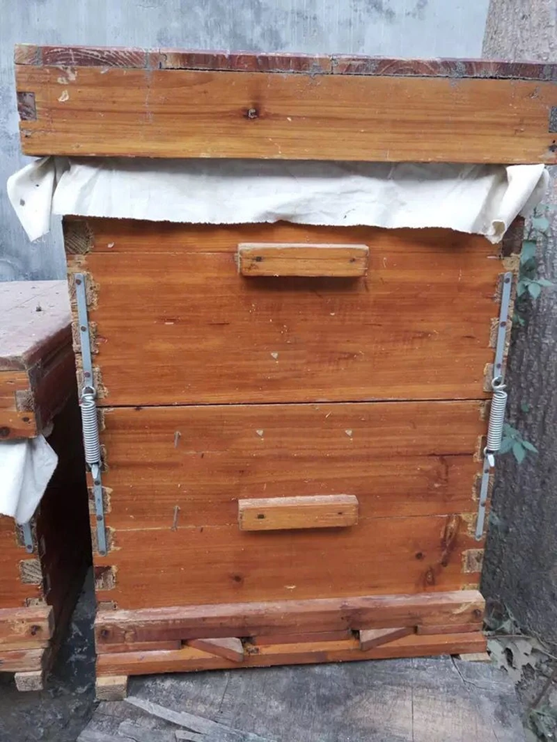 Инструмент для пчеловодства четыре пружины и восемь крючков соединитель улей