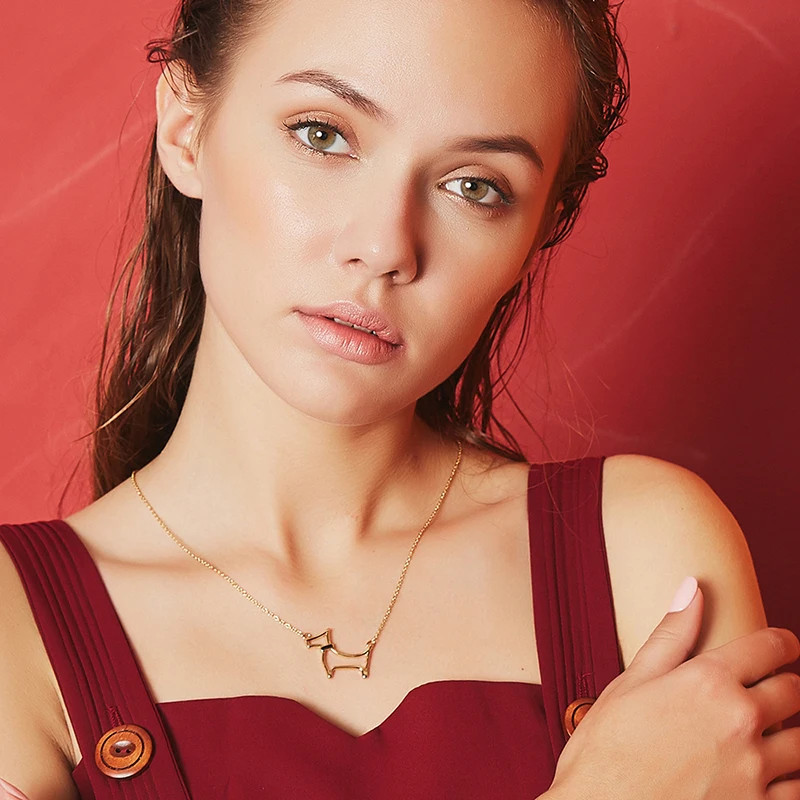 MISSJUJU 2018 полые собака Цепочки и ожерелья подвески для Для женщин Западной Стиль