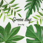 Фотография фоновые украшения, высококачественные различные искусственные листья, растения, Зеленый лист