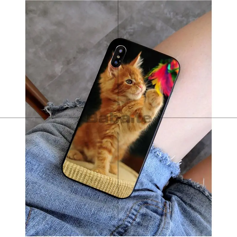 Babaite pet мейн-кун кошка черный мягкий силиконовый чехол для телефона чехол для Apple iPhone 8 7 6 6S Plus X XS MAX 5 5S SE XR Чехол для мобильного телефона s